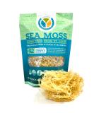 100% Wildcrafted Organic Sea Moss | Raw Sun-dried | Makes 65oz Gel | Gold Purple (GOLD) - Buy Online on GoSupps.com
