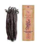 Heart & Harvest Premium Madagascar Vanilla Beans Grade A, 5"- 6" Long Bean Sticks, Pack of 10 Whole Vanilla Pods Perfect to Make Pure Vanilla Powder & Extract for Baking, Ice Cream, Syrup & More Madagascar Grade A 10 Count… - Buy Online on GoSupps.com