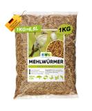 Flourworms dried 1kg 6500ml of insect snack for birds fish turtles rodents and reptiles bird feed wild birds all year round squirrel feed hedgehog lining mealworms 6.5 l (1 Pack) - Buy Online on GoSupps.com