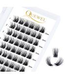Buy 12mm Individual Quewel Eyelashes - Natural DIY Extensions Segments for Makeup - 1 Pack - Buy Online on GoSupps.com