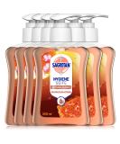 Sagrotan Hand Soap with Almond Blossom & Manuka Honey - Hygienic Liquid Soap - 6 x 250ml Dispensers - Perfect for International Shipping - Buy Online on GoSupps.com