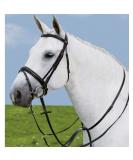 WALDHAUSEN Star Martingale Black for Warmbloods - Premium Quality Horsemanship Gear - Buy Online on GoSupps.com