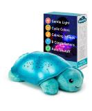 Cloud B Twinkling Twilight Turtle Aqua - Black | CB7323-T2P - Buy Online on GoSupps.com