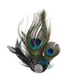 Nuobesty Pfau Fascinator - Elegant Feather Headwear for Dance Parties & Prom | Spring Festive Makeup Accessory - Buy Online on GoSupps.com