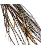 Real Feather Hair Extensions - Auburn Naturals (Pack of 10 Feathers) - Buy Online on GoSupps.com