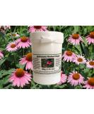 Echinacea Herbal Cream 100g (a natural skin care cream with organic extracts) 100.00 g (Pack of 1) - Buy Online on GoSupps.com