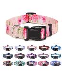 Suredoo Adjustable Dog Collar - Soft Nylon for Small to Large Dogs & Puppies (Rose L - 38-63 cm) - Buy Online on GoSupps.com