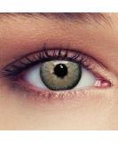 Gray Colored Contact Lenses - Natural Effect Monthly Lenses for Dark Eyes - -3.50 Strength | Free Container Included - Buy Online on GoSupps.com