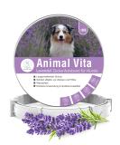 Animal Vita Lavender Tick Neck Band for Dogs - Waterproof Adjustable 100% Natural Protection Against Vermin - Up to 8 Months of Efficacy - Buy Online on GoSupps.com