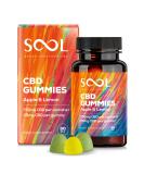 Sool CBD Gummies 750mg | 30pcs, 25mg CBD/Gummy | Apple & Lemon Flavor | Broad Spectrum Edibles for Relaxation, Recovery & Relief - Buy Online on GoSupps.com