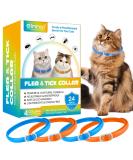 Buy 4-Pack Cat Collars - 48cm Blue & Orange | International Shipping Available - Buy Online on GoSupps.com