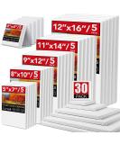 30 Pack Canvases for Painting with 4x4 5x7 8x10 9x12 11x14 12x16 Painting Canvas for Oil & Acrylic Paint 30 Packs - 6Sizes(5 of Each) - Buy Online on GoSupps.com