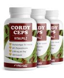 Buy Cordyceps Capsules 540x | 2100 mg Premium Mushroom Extract | 40% Polysaccharides | International Shipping - Buy Online on GoSupps.com