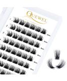 Buy Quewel C Curl 8mm Cluster Lashes | Individual Eyelash Segments for DIY Extensions | Natural Look 1 Pack - Buy Online on GoSupps.com