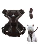 Adjustable Cat Dishes Set - Ergonomic Feeding for Cats & Kittens | Soft Durable Brown (M) - Buy Online on GoSupps.com