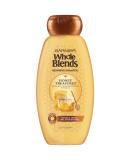 Garnier Whole Blends Repairing Shampoo Honey Treasures 22 Fl Oz - Ideal for Damaged Hair - Buy Online on GoSupps.com