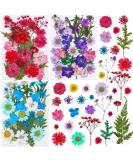 Thrilez 100Pcs Pressed Dried Flowers for Resin Molds - Natural Flower Herbs Kit for Scrapbooking, Card Making, Resin Jewelry, Soap & Candle Making (Blue Purple Red) - Buy Online on GoSupps.com