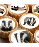 24 edible PRE CUT badger badgers british wildlife kids childrens party decorations round wafer paper 4.2cm - Buy Online on GoSupps.com