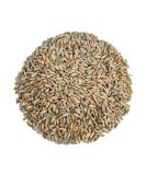 100% Organic Rye Berries, Non-GMO, Kosher, Raw, Bulk Seeds, Product of the USA (10 lbs) 10 Pound (Pack of 1) - Buy Online on GoSupps.com