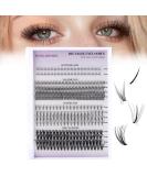 Premium D Curl Lash Clusters - Volume Fan & 20D Multi-Type Eyelash Extensions | DIY Spiky Wispy Natural Lashes for Stunning Looks - Buy Online on GoSupps.com