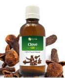 Clove Oil (Syzygium aromaticum) 100% Pure & Natural Undiluted Uncut Essential Premium Aromatherapy Oil - 30ml Clove 30 ml - Buy Online on GoSupps.com