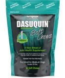 Dasuquin Soft Chews for Dogs 84 Count - Joint Health Supplement Pack - Buy Online on GoSupps.com