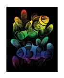 Royal Brush RAINFL-24 Rainbow Foil Engraving Art Kit - Clownfish 8x10 - Buy Online on GoSupps.com