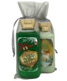 Bath & Body Works Vanilla Bean Noel Gift Set - Shower Gel & Body Lotion Bundle - Buy Online on GoSupps.com
