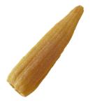 Natural Organic Super Loofah Sponge for Exfoliating - Premium Quality Spa Body Scrubber for Daily Care - Buy Online on GoSupps.com