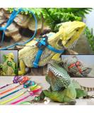 Generic Adjustable Reptile Lizard Harness Leash Adjustable Multicolor Light Soft Fashion (Green) - Buy Online on GoSupps.com