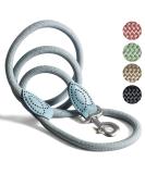 High-Quality 1.7m No Tangle Dog Training Leash - Aqua Braided Rope with Hand Loop - Buy Online on GoSupps.com