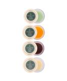 SVATV Herbal Salve Lip Balm Set - 4 Flavors (Coffee Green Apple Orange Chocolate) | 15g Each | Made in India | International Shipping Available - Buy Online on GoSupps.com
