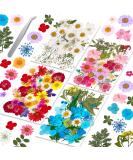 Evatage 153Pcs Dried Pressed Flowers for Resin  Real Pressed Flowers with Tweezers  Multiple Colorful Resin Dry Flowers Bulk for Craft  Resin Mold  Jewelry Making  Candle and Nails Decoration - Buy Online on GoSupps.com