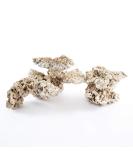 Aquarium Dried Reef Rock Mixed Pack (5kg) 5 kg (Pack of 1) - Buy Online on GoSupps.com