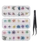 3 Boxes Nail Art Mixed Dried Flowers Kit - 3D Daisy & Gypsophila for Manicure Decoration - Includes Tweezers - Buy Online on GoSupps.com