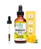 Botanic Choice Dandelion Root Extract - Alcohol-Free Liver Health Support Detox & Digestive Aid - 1 oz - Buy Online on GoSupps.com