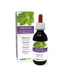 Master Root Rhizomes - Vegan Non-Alcoholic Tincture | 120ml Liquid Extract Dietary Supplement - Buy Online on GoSupps.com