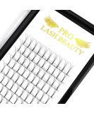 Premium 3D 4D 5D 6D Finished Eyelash Extensions | 0.07 & 0.10 Volume | 15mm 4D-C-07 - Shop Internationally! - Buy Online on GoSupps.com