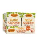 Buy Birkengold Nature Disch Calition Chumpory - Plastic-Free Sugar-Free Fruit Chews (12x28g) | Natural Cauch (Chicle) | Certified Natural Cosmetics - Buy Online on GoSupps.com