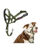 Halti Head Harness for Medium Dogs - Prevent Pulling Lightweight & Padded Nose Strap - Size 2 Forest Green - Buy Online on GoSupps.com