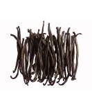 Premium Extraction Grade Vanilla Beans - 27-66 Pods (13.43/oz) - Buy Online on GoSupps.com
