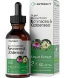 Echinacea Goldenseal Liquid Extract - 2 fl oz Alcohol Free Tincture | Vegetarian, Non-GMO, Gluten Free | Horbaach - Buy Online on GoSupps.com