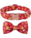 Buy Unique Paws Halloween Dog Collar - Comfortable Cotton Pumpkin Design XS for Small Dogs (Neck 8-12in) - Perfect for Young Girls! - Buy Online on GoSupps.com