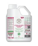 Dog Shampoo For Itchy Skin Antibacterial And Antifungal | Natural Medicated Low Lather Safe Formula | Fast Absorbing and Skin Cooling First Aid | Great For Cuts Grazes Skin Irritation - Buy Online on GoSupps.com