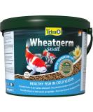 Tetra Pond Wheaterm Sticks - Fiber-Rich Fish Feed for All Pond Fish | Ideal for Cool Water - 10L Bucket - Buy Online on GoSupps.com