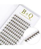 Eyelash Fan 6D-C-07-12 | Premium Black Eyelash Extensions | C & D Curl | 0.07 Volume | Shop Internationally - Buy Online on GoSupps.com