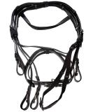 Kerbl 32171 Bridle Standard Leather for Thoroughbred black Black Thoroughbred / black - Buy Online on GoSupps.com