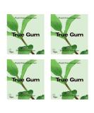 True Gum Set of 4 - Plastic-Free Biodegradable Vegan Chewing Gum - 84g Mint Flavor - International Shipping Available - Buy Online on GoSupps.com