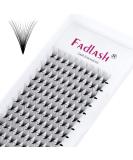 Premium 16D 0.07mm D Curl 13mm Premade Russian Fan Eyelashes | High-Quality Easy Application - Buy Online on GoSupps.com