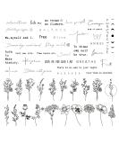 DIVAWOO Realistic Temporary Tattoo - 60 Sheets Tiny Fake Tattoos, 40 Pcs Inspirational Words Tattoo, 20 Pcs Wild Flower Floral Bouquet Tattoo Stickers for Adult Women Face Body Hand - Buy Online on GoSupps.com